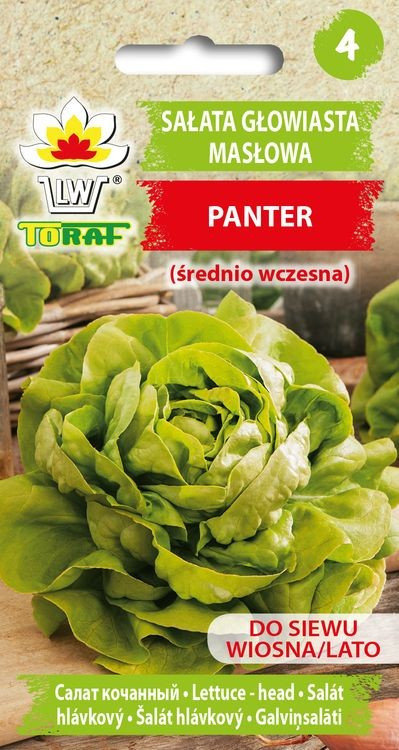 Sałata Masłowa Panter (Śr. Wczesna)
Lactuca Sativa L. Var. Capitata