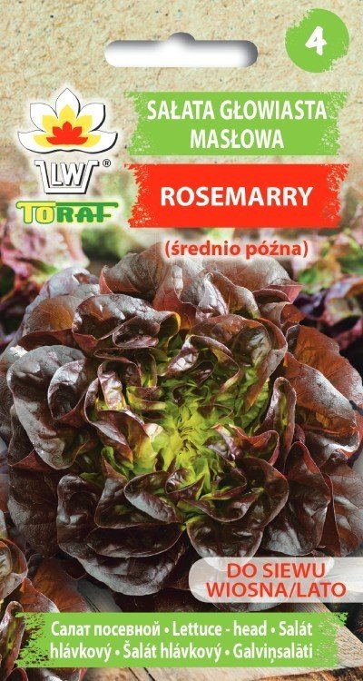 Sałata Masłowa Rosemarry (Czerwona, Śr. Późna) Lactuca Sativa L.