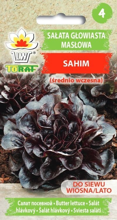 Sałata Masłowa Sahim (Czerwona, Śr. Wczesna)
Lactuca Sativa L.