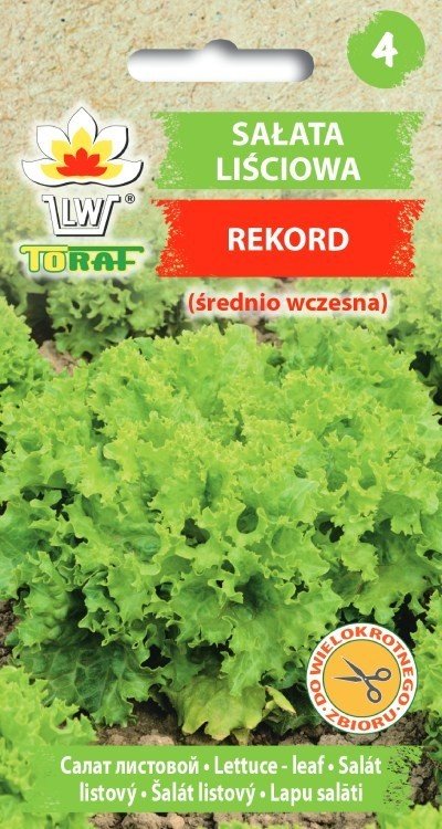 Toraf WARZYWA Sałata Rekord nasiona 1g 01224