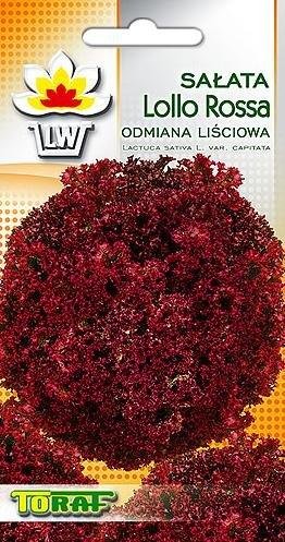 Sałata Lollo Rossa nasiona warzyw 1g TORAF