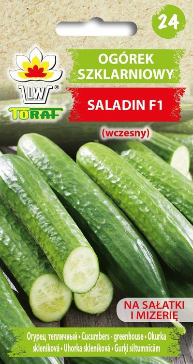 Ogórek Pod Osłony Saladin F1 Cucumis Sativus L.