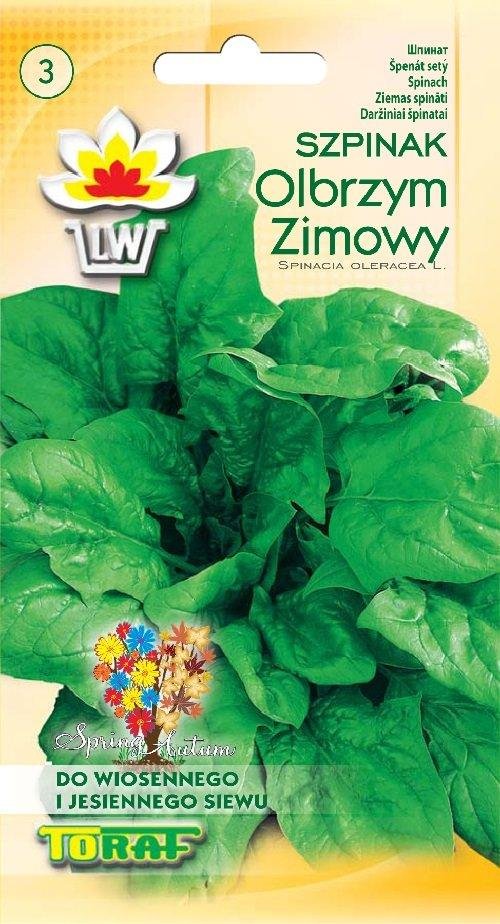 Toraf Szpinak OLBRZYM ZIMOWY 10g Nas000204