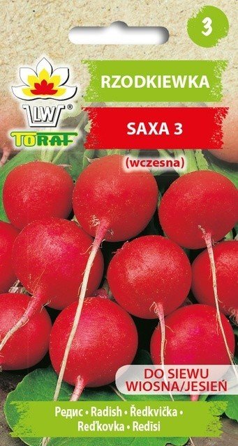 Rzodkiewka Saxa 3 (Czerwona, Wczesna)
Raphanus Sativus L.