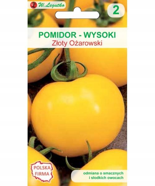 Legutko Pomidor wysoki ZŁOTY OŻAROWSKI