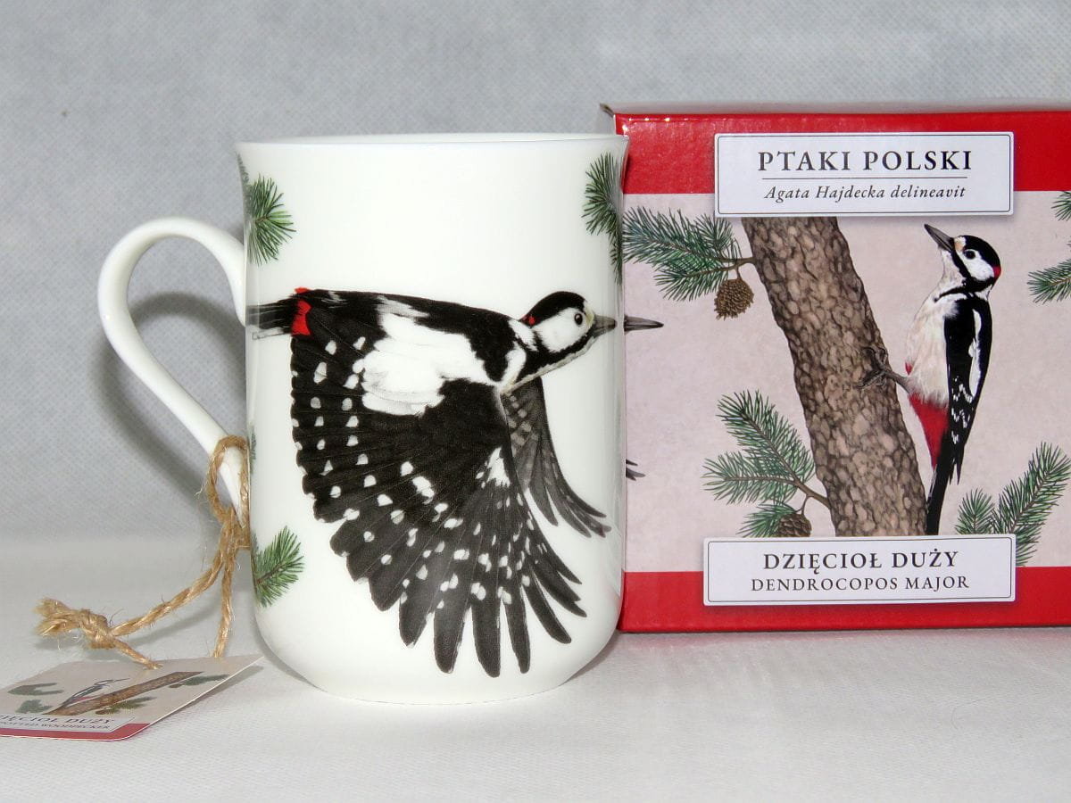 MCP, kubek porcelanowy 300ml - DZIĘCIOŁ/PTAKI POLSKI by Agata Hajdecka