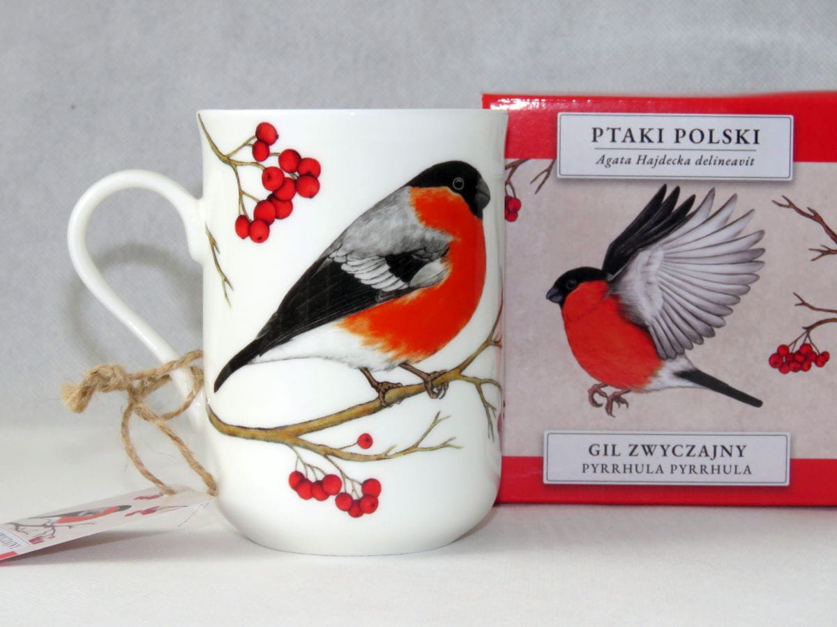 MCP, kubek porcelanowy 300ml - GIL/PTAKI POLSKI by Agata Hajdecka