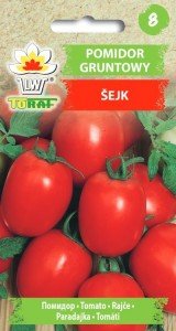 Pomidor gruntowy karłowy ŠEJK - Szejk Solanum lycopersicum L.