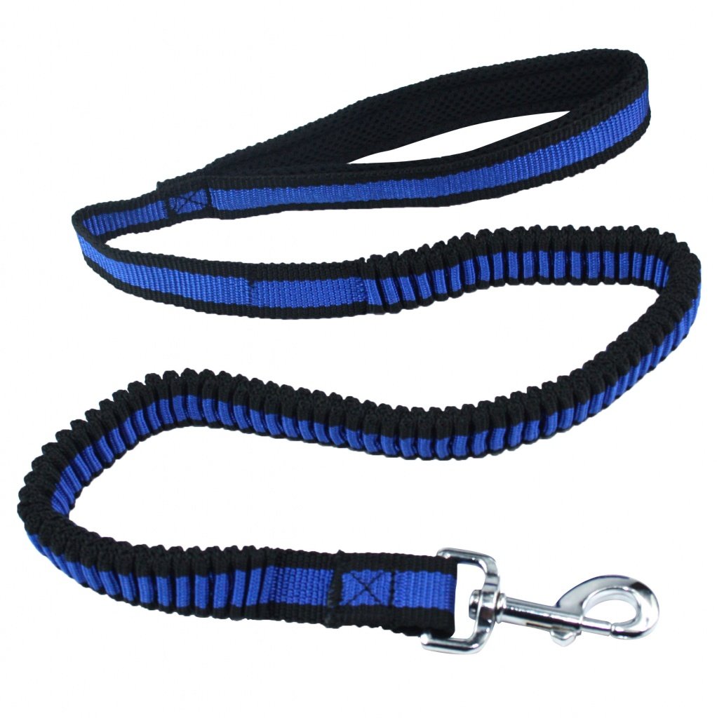 Haas F1 Team PET NOVA PET NOVA L-Bungee Blue 2,5/120-180cm