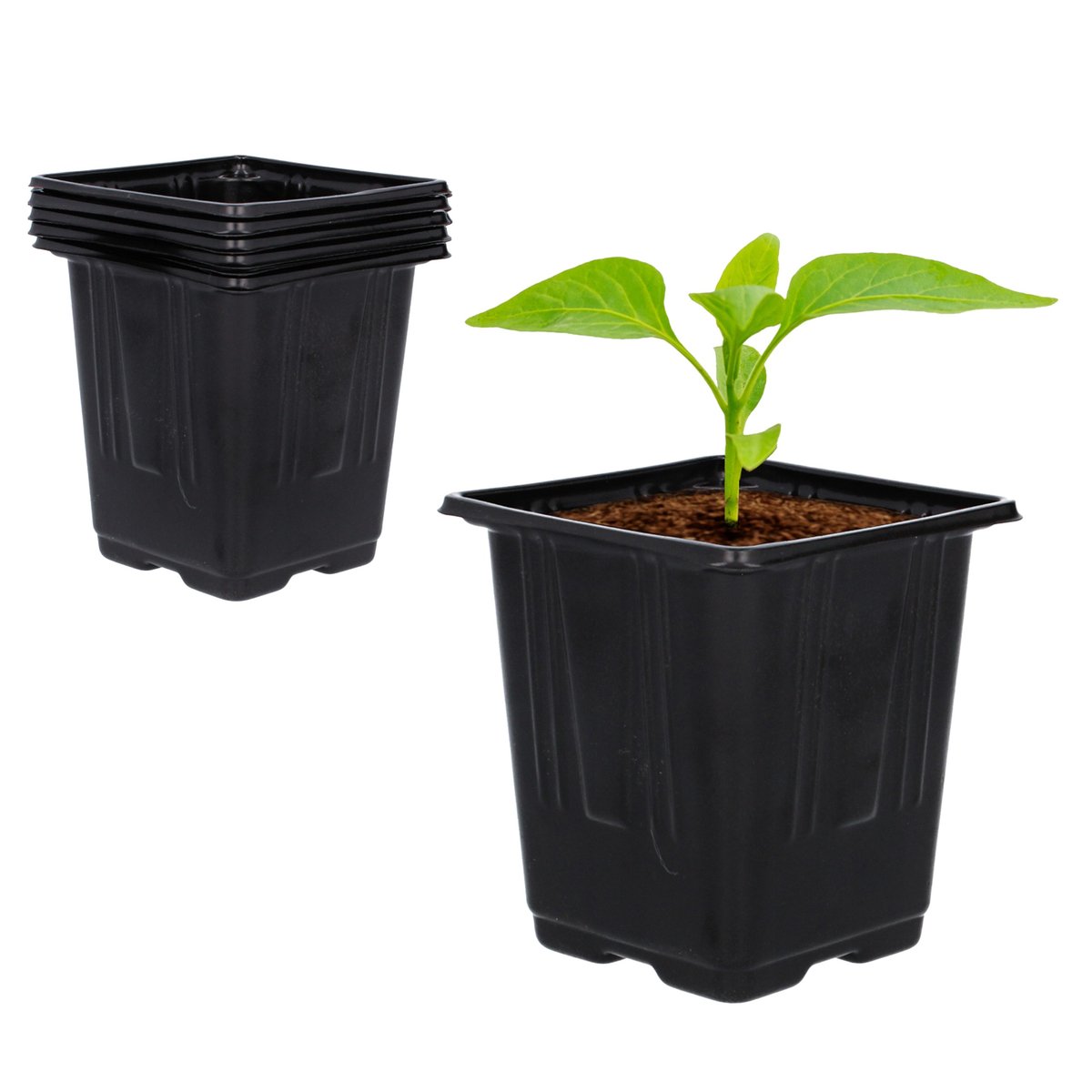 Komplet plastikowych doniczek 5szt. 11x11x12cm 10 szt