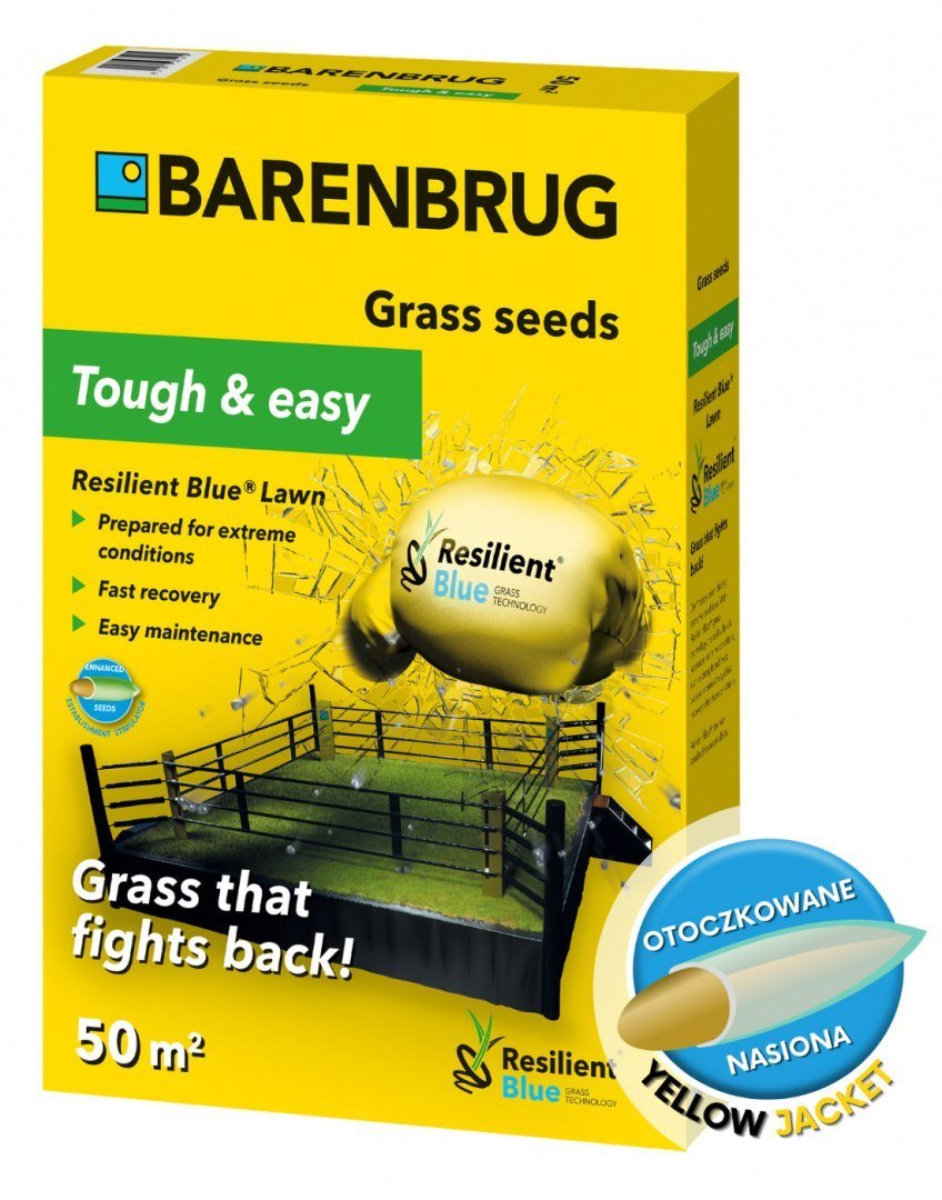 Barenbrug Trawa odporna na suszę  Resilent Blue Lawn 1kg