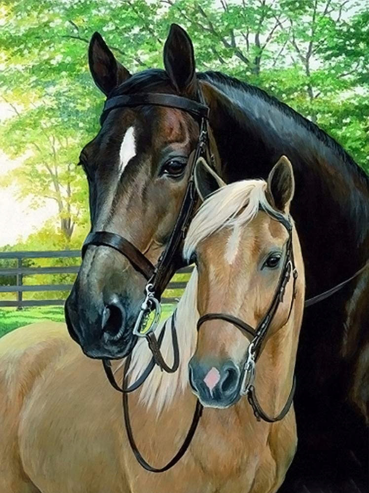 Diamond Painting Haft Diamentowy Mozaika Zestaw 5D