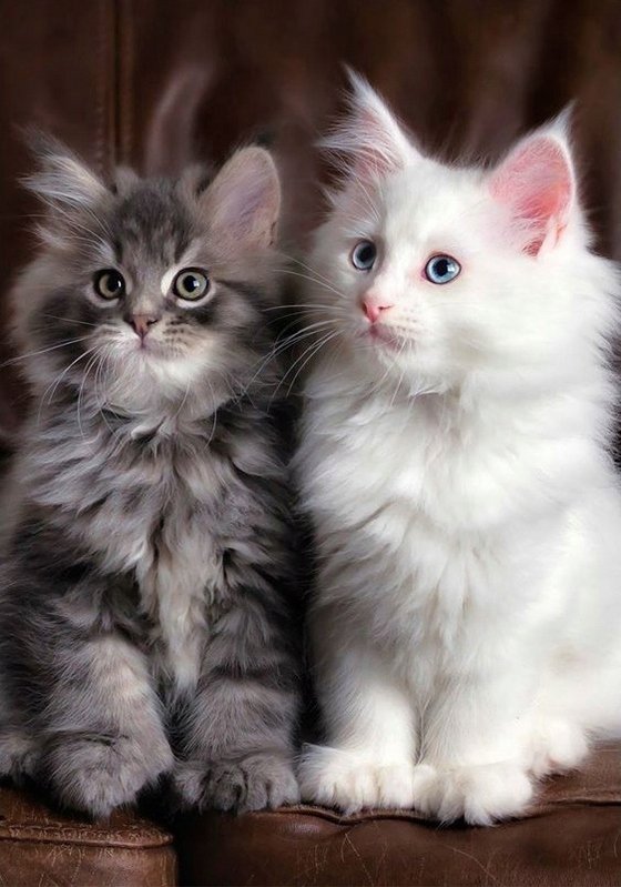 Diamond Painting Haft Diamentowy Mozaika Zestaw 5D