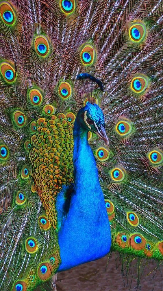 Diamond Painting Haft Diamentowy Mozaika Zestaw 5D