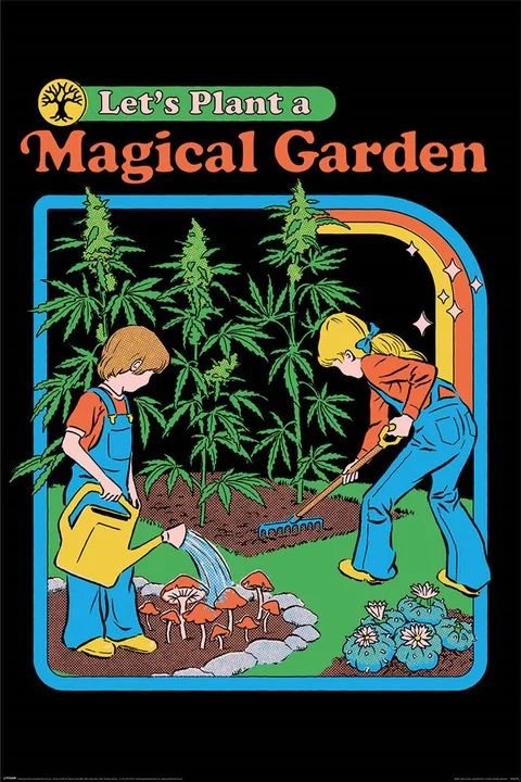Steven Rhodes Magical Garden plakat 61x91cm