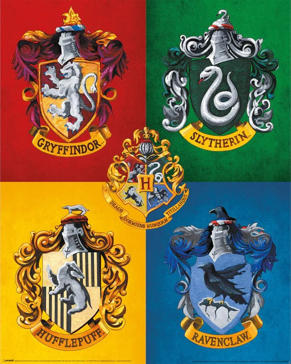 Harry Potter plakat 40x50cm