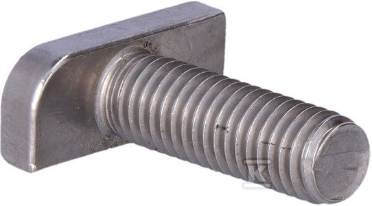 Baks Śruba SMFM8x25E A2