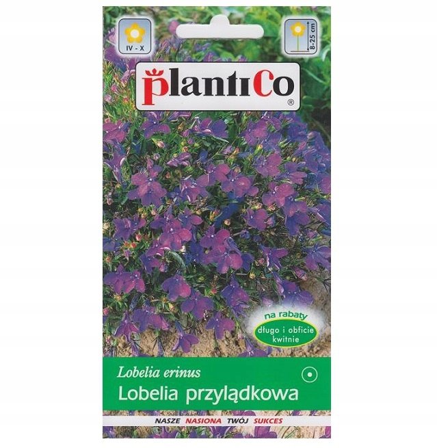 Nasiona Lobelia Przylądkowa Fioletowa - Mitternachtsblau 0,2 G Plantico