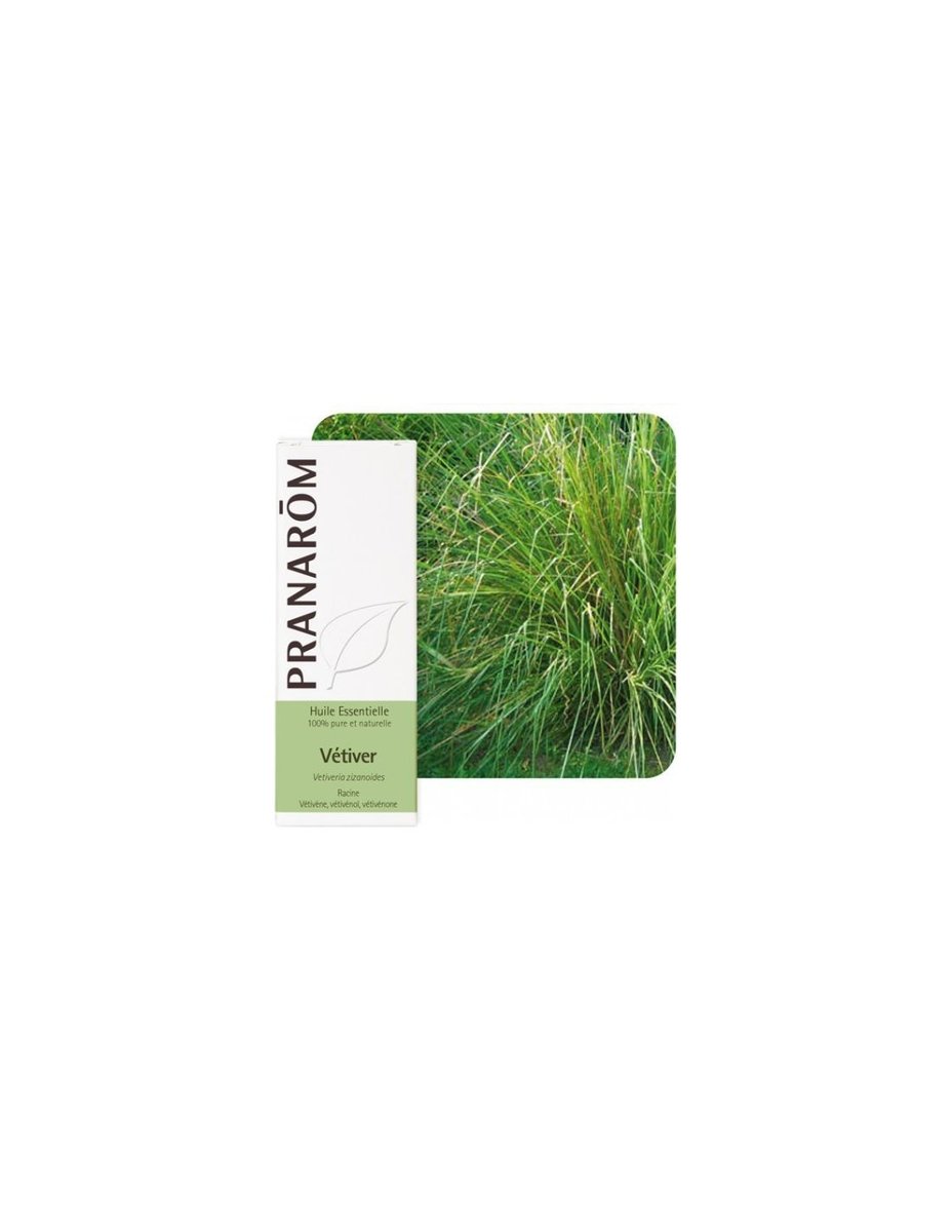 Olejek eteryczny wetiwerowy **Vetiver / Wetiweria / Vetiveria  5ml*PRANARÔM*