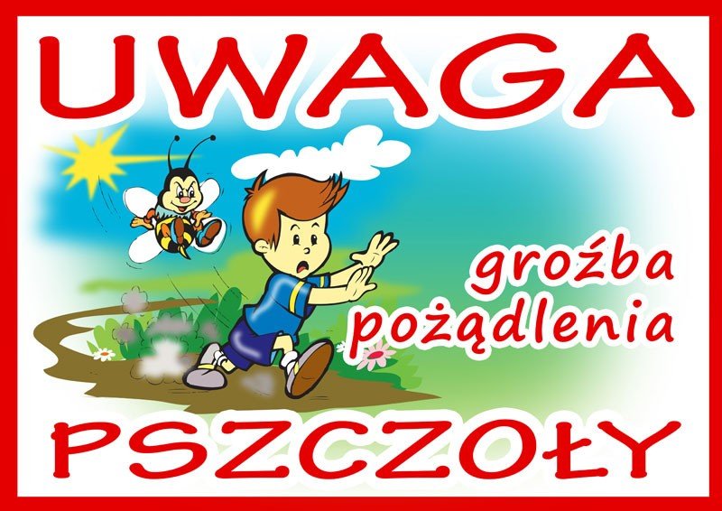 Duża tablica ostrzegawcza - wzór F310