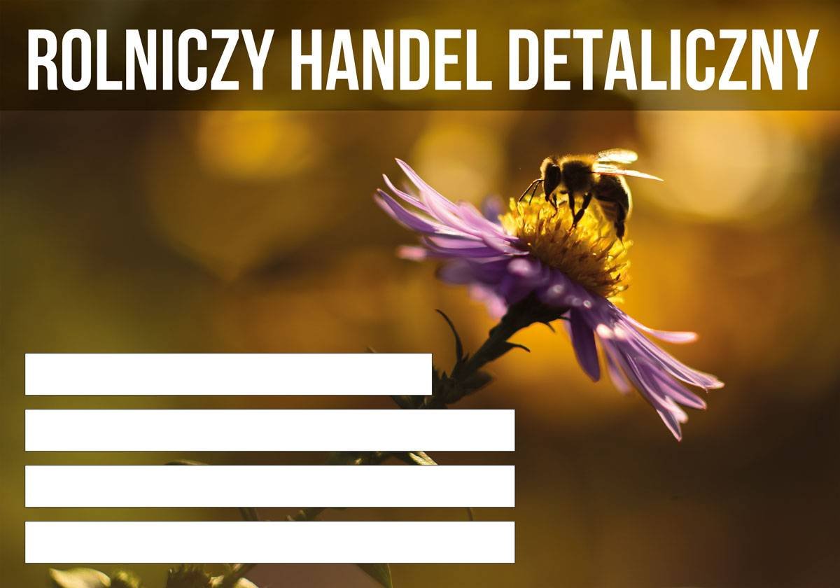 Duża tablica informacyjna RHD - wzór F358