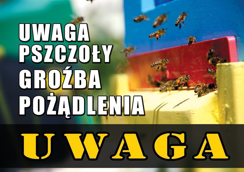 Średnia tablica ostrzegawcza - wzór F213