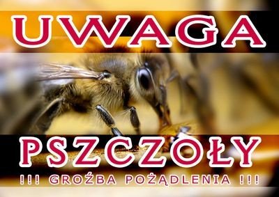 Duża tablica ostrzegawcza - wzór F305