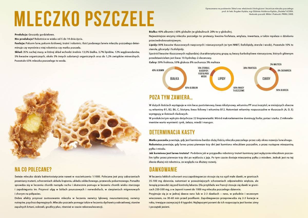 Średnia tablica edukacyjna MLECZKO PSZCZELE - wzór F253