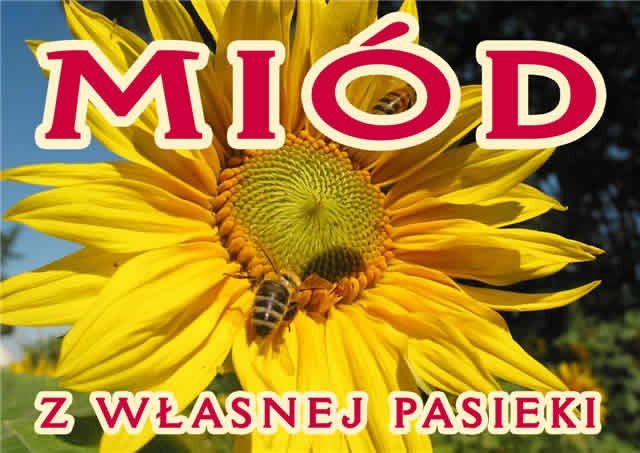 Średnia tablica reklamowa – F203