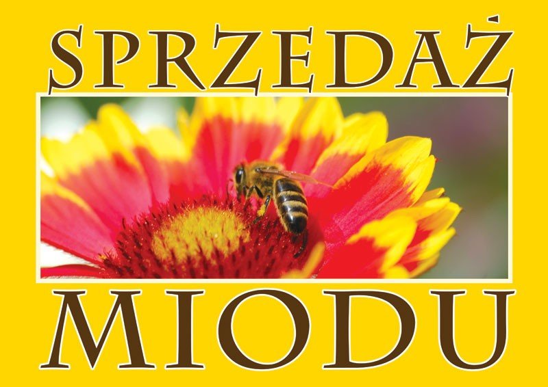Duża tablica reklamowa - wzór F317