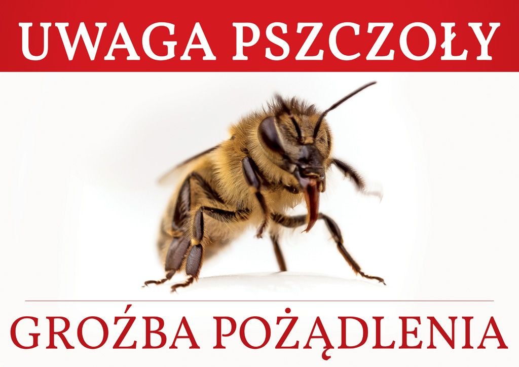 Duża tablica ostrzegawcza - wzór F334