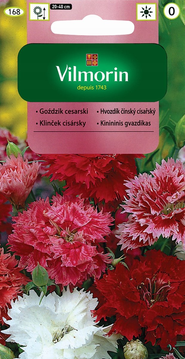 NASIONA GOŹDZIKA CESARSKIEGO MIX 1G VILMORIN