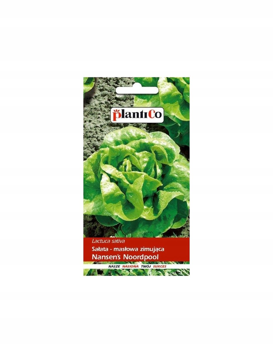 Plantico Sałata zimująca