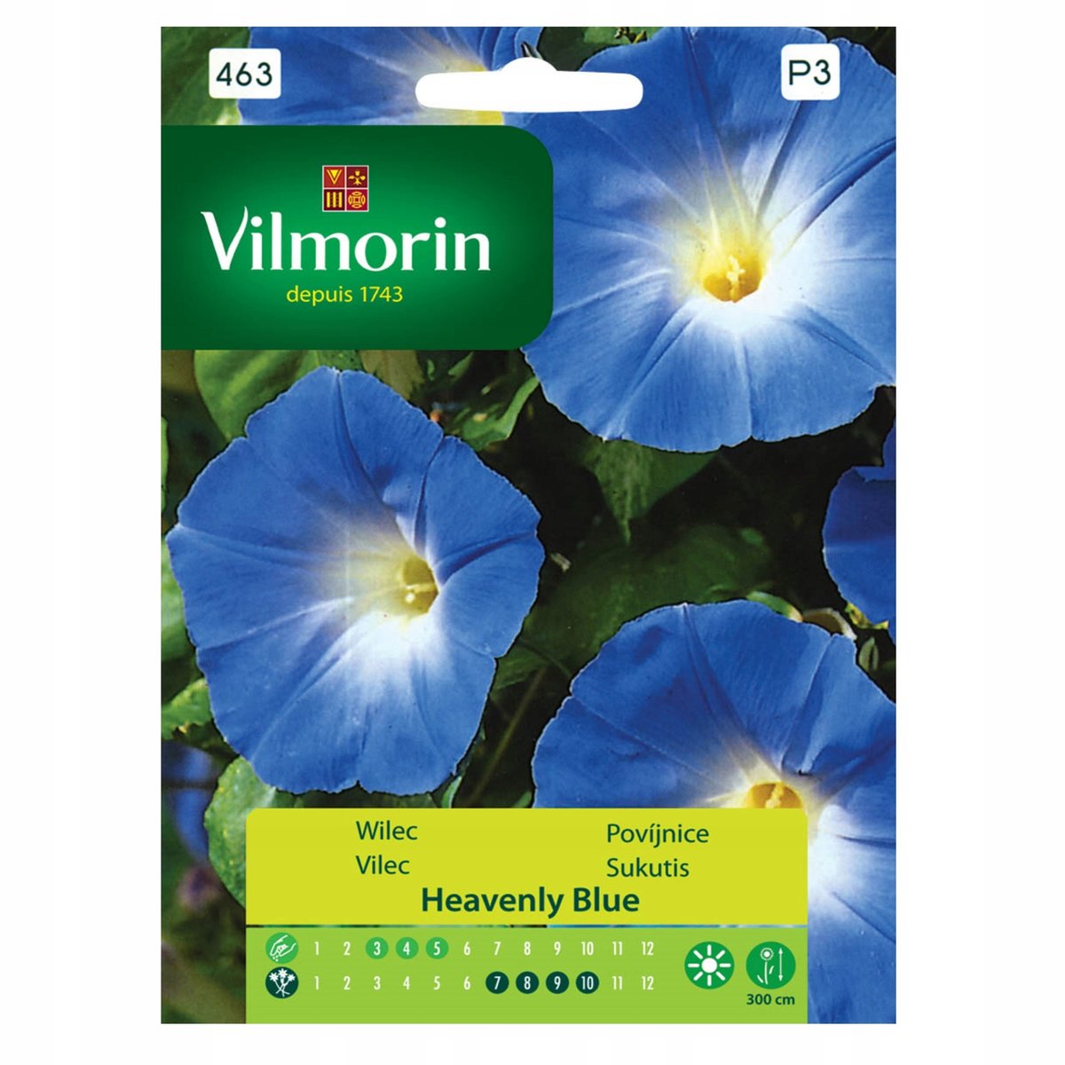 Vilmorin Nasiona wilec Heavenly Blue niebieski