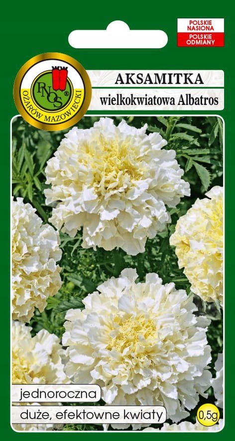 NASIONA AKSAMITKA ALBATROS WIELKOKW. KREMOWOBIAŁA