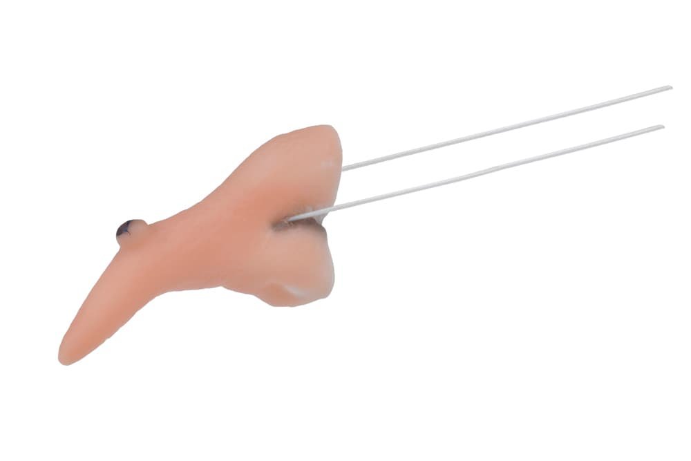 Arpex Nos czarownicy, SR8564,