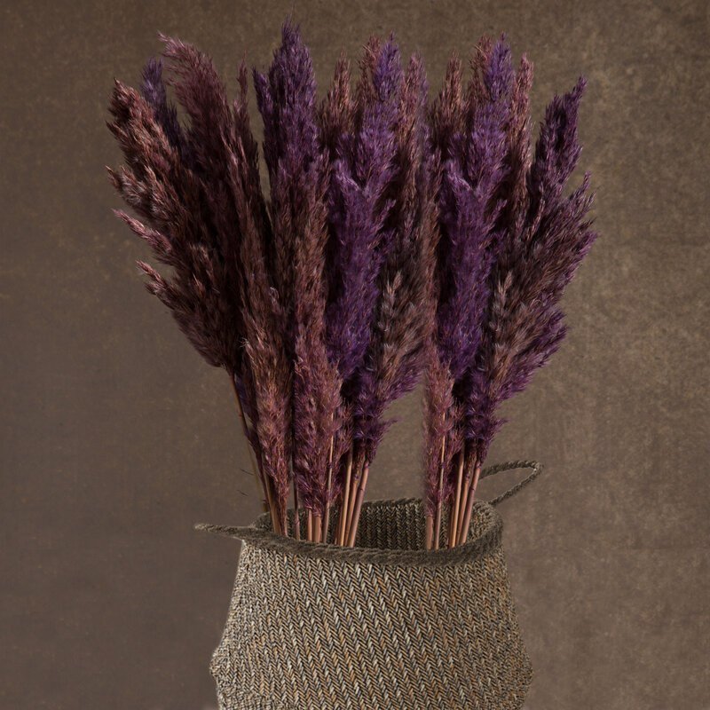 KWIAT NAT DŁ. BUKIETU 58 CM DŁ. KWIAT 3 CM BEŻOWY