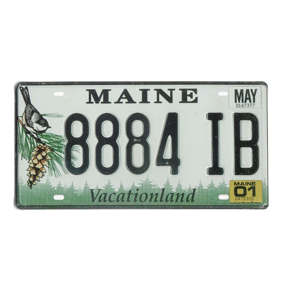 Tablica Rejestracyjna Z Usa Metalowa Maine