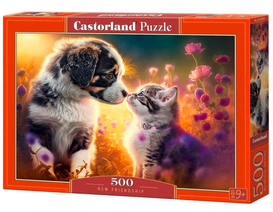 Puzzle 500 New Friendship Castorland
