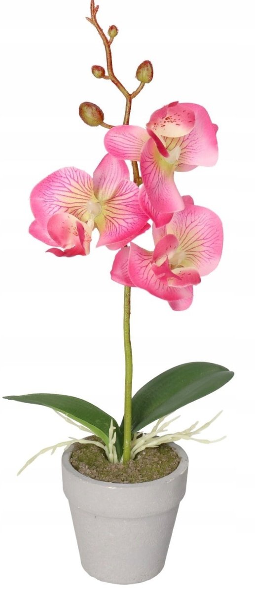 Sztuczne Kwiaty W Doniczce Storczyk Orchidea