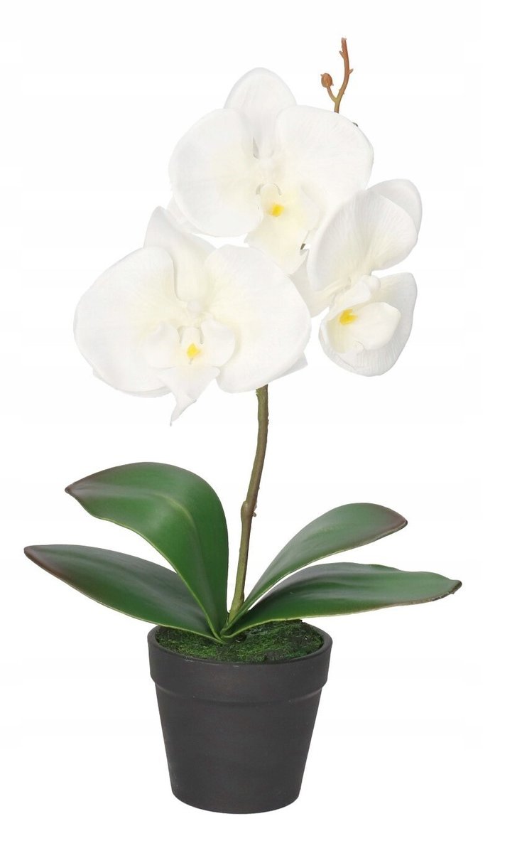 Storczyk Orchidea Sztuczne Kwiaty W Doniczce