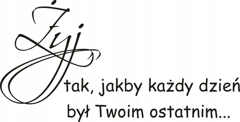 Napis na ścianę naklejka 100x50cm wybór koloru do salonu cytat Żyj.. 101