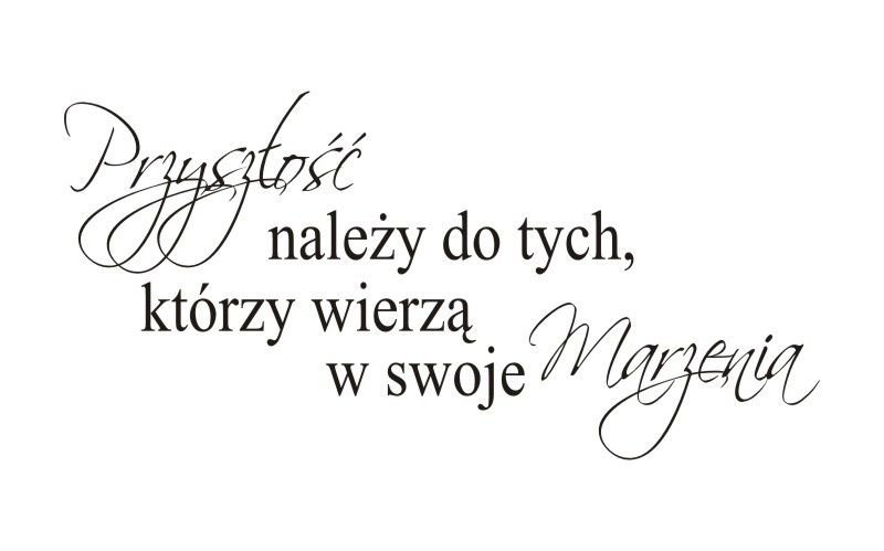 Napis na ścianę naklejka 120x60cm wybór koloru - Przyszłość należy do tych... 4