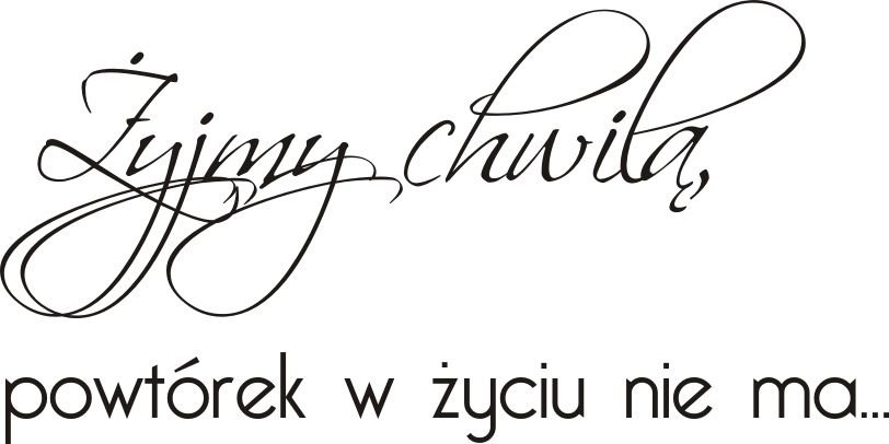 Napis na ścianę, naklejka 120x60cm wybór koloru - Żyjmy chwilą - 96