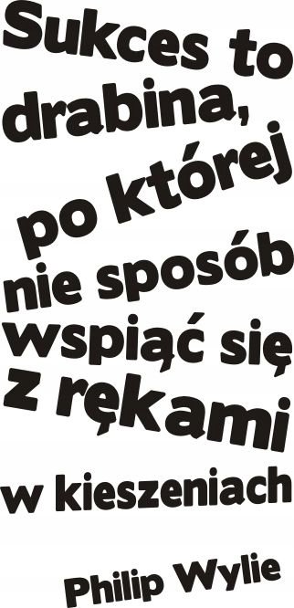 Napis na ścianę naklejka 120x60cm wybór koloru - Sukces to drabina - 109