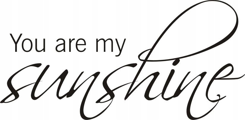 Napis na ścianę naklejka 120x60cm wybór koloru - You are my sunshine 106