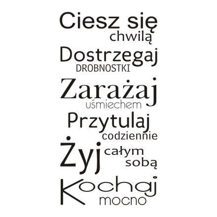 Napis na ścianę naklejka 150x75cm wybór koloru - Ciesz się chwilą... 228