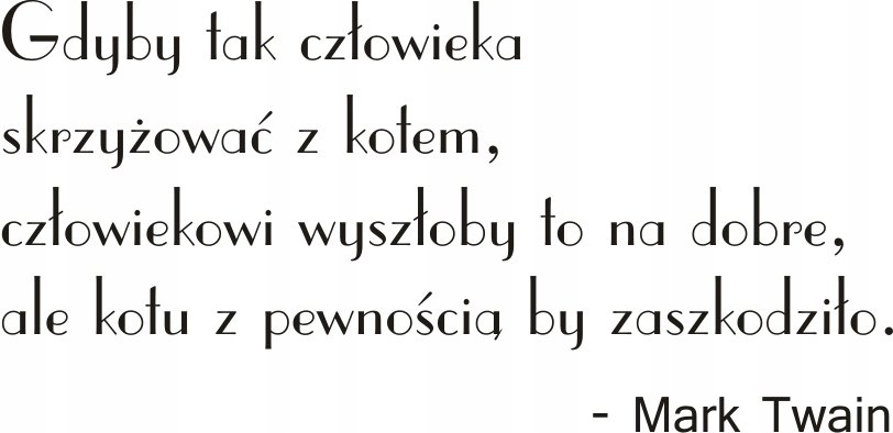 Napis na ścianę, naklejka 75x38cm wybór koloru - Mark Twain - 137