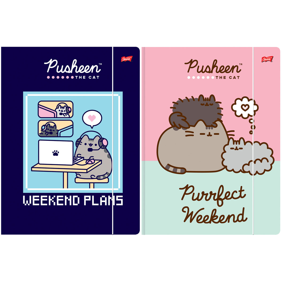 2 X TECZKA Z GUMKĄ A4 PUSHEEN UNIPAP, KAŻDA INNA