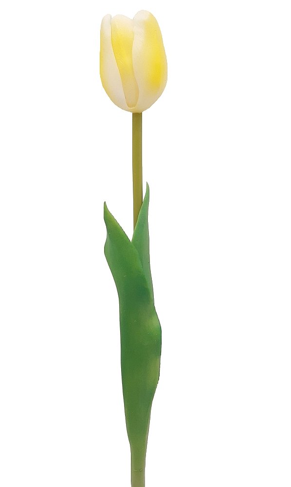 Tulipan silikonowy jak żywy biało żółty gumowy 44 cm rozkwitnięty